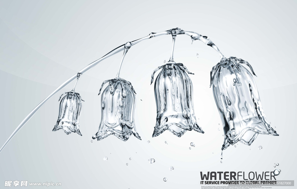 水晶灯笼花PSD