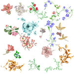 花纹