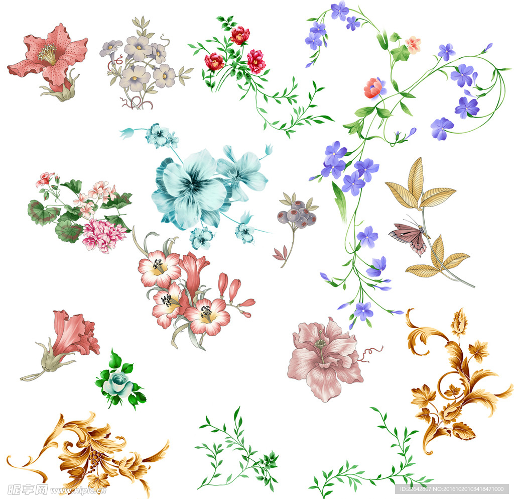 花纹