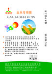 B玉米肥
