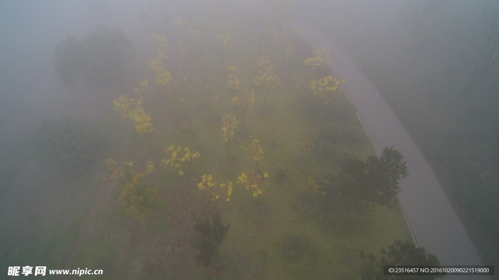 航拍雾中的树