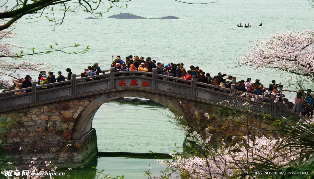 江苏無钖  蠡湖风光