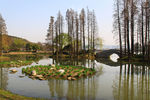 江苏無钖  蠡湖风光