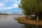 江苏無钖  蠡湖风光