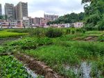 田园菜地