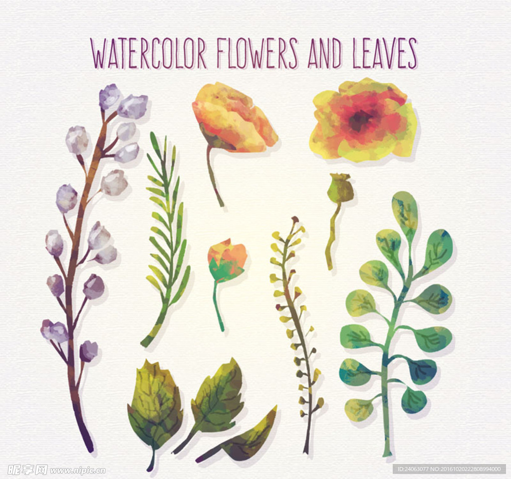 水彩绘花朵和叶子矢量素材