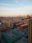 城市