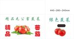 西红柿 番茄
