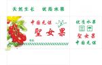 西红柿