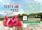 软籽石榴