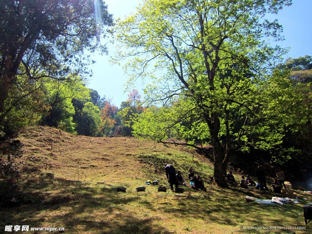 山林