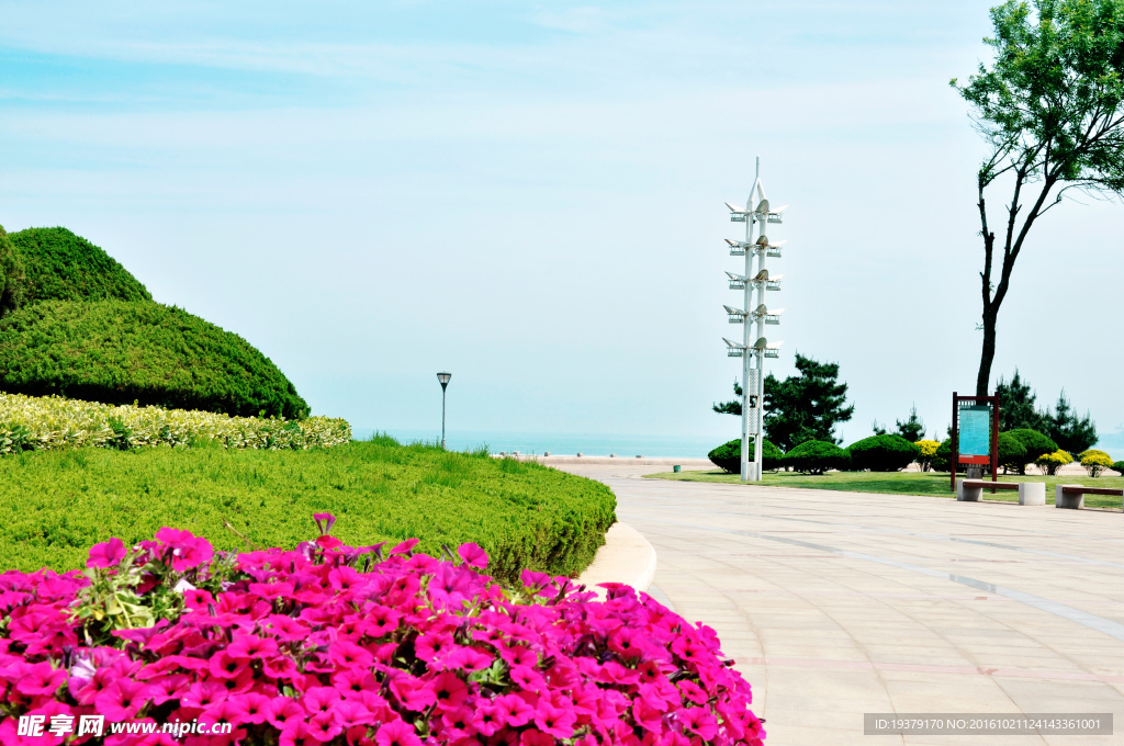 日照海边美景