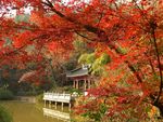 山水楼阁
