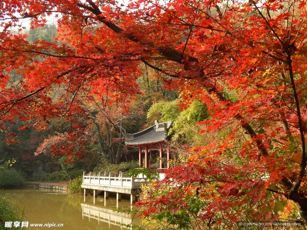 山水楼阁