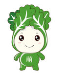 蔬菜