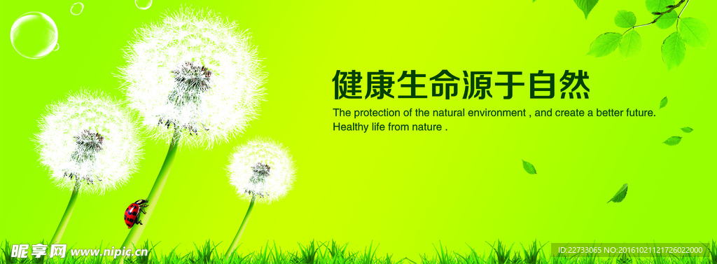 健康养生自然背景