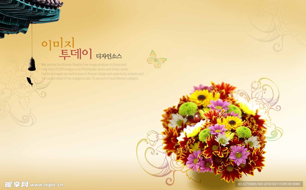 韩国花卉底图