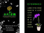 花卉名片