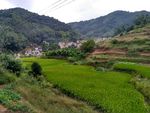山川田野