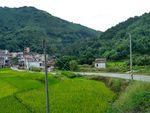 山川田野