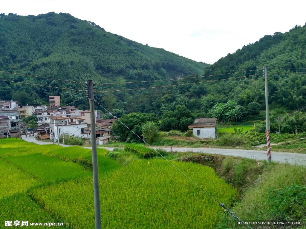 山川田野