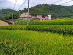 山川田野