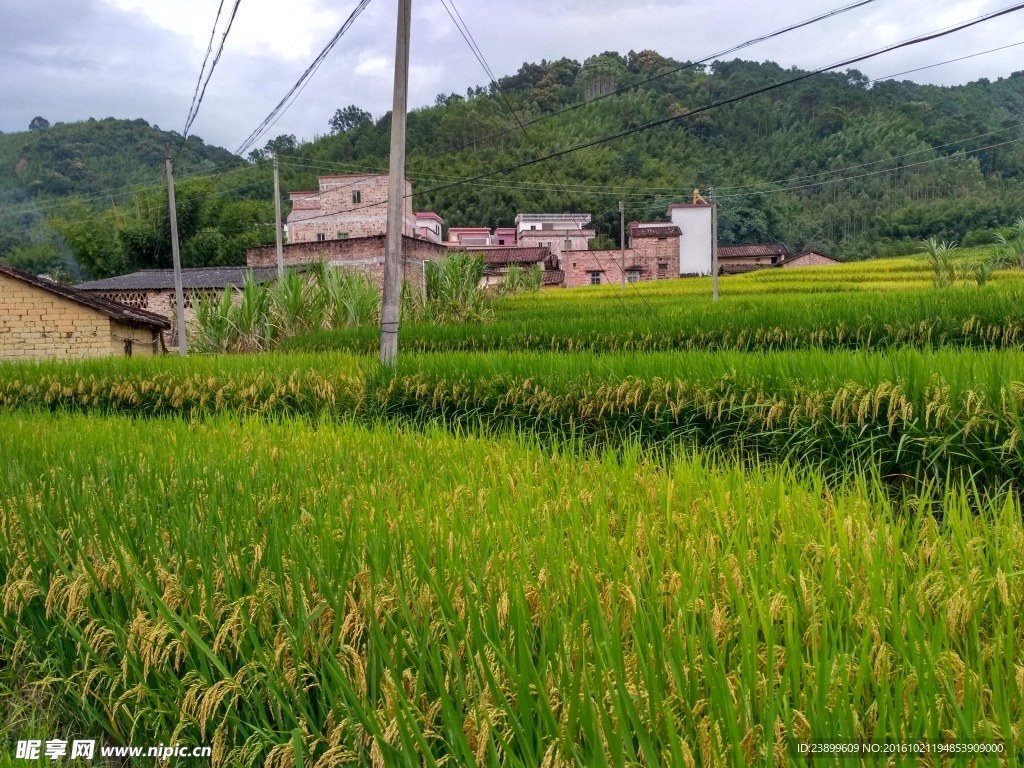 山川田野