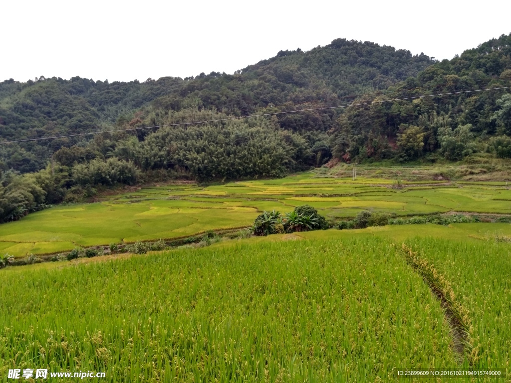 山川田野