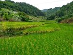 山川田野
