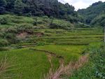 山川田野