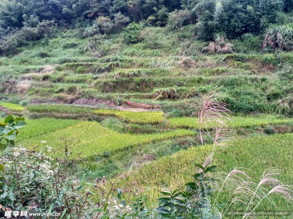 山川田野