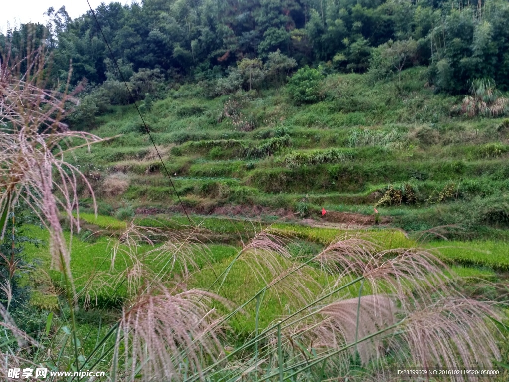 山川田野