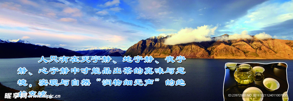 宁静品茶
