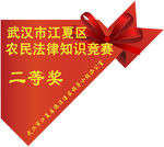 电视贴 蝴蝶结奖
