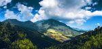 黑山村梯田风光 稻田