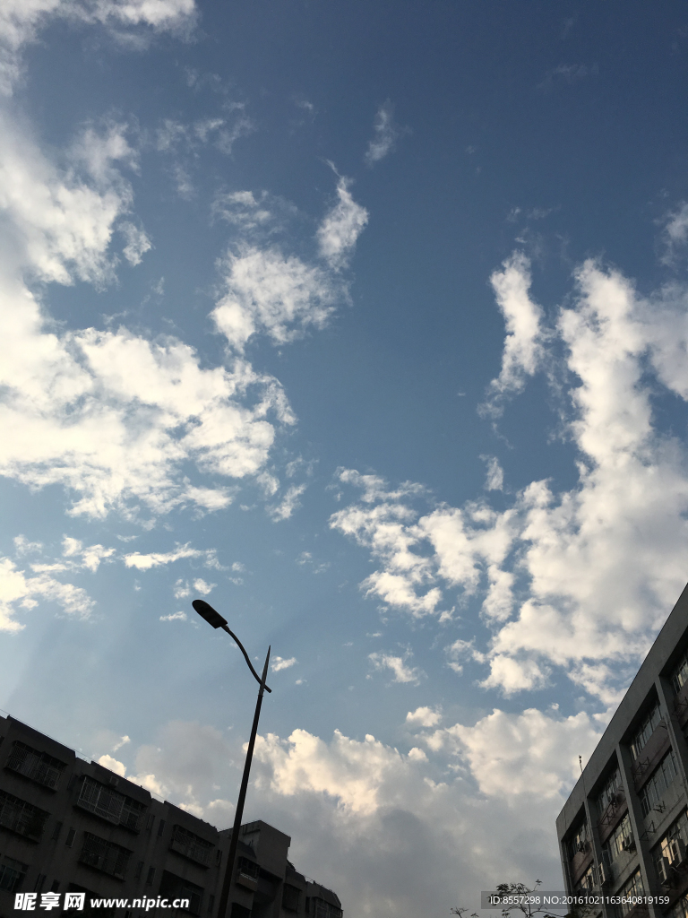 清晨