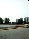 道路 建筑