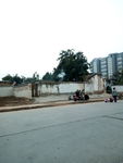 道路 建筑