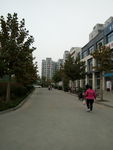 小区景色