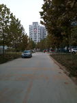 小区景色