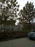 小区景色