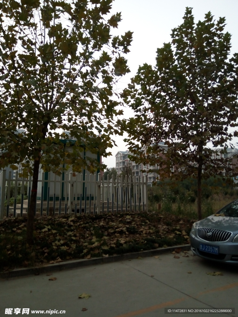 小区景色
