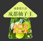 柚子王