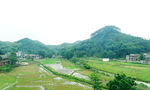 宜春田园风光