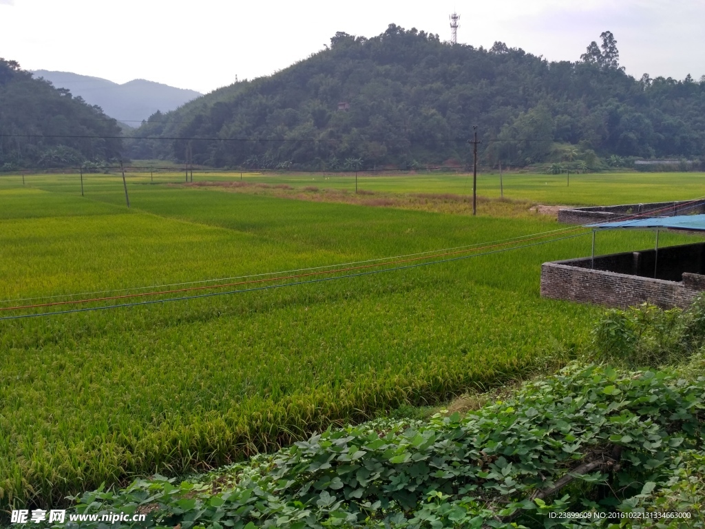 山川田野