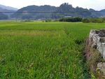 山川田野