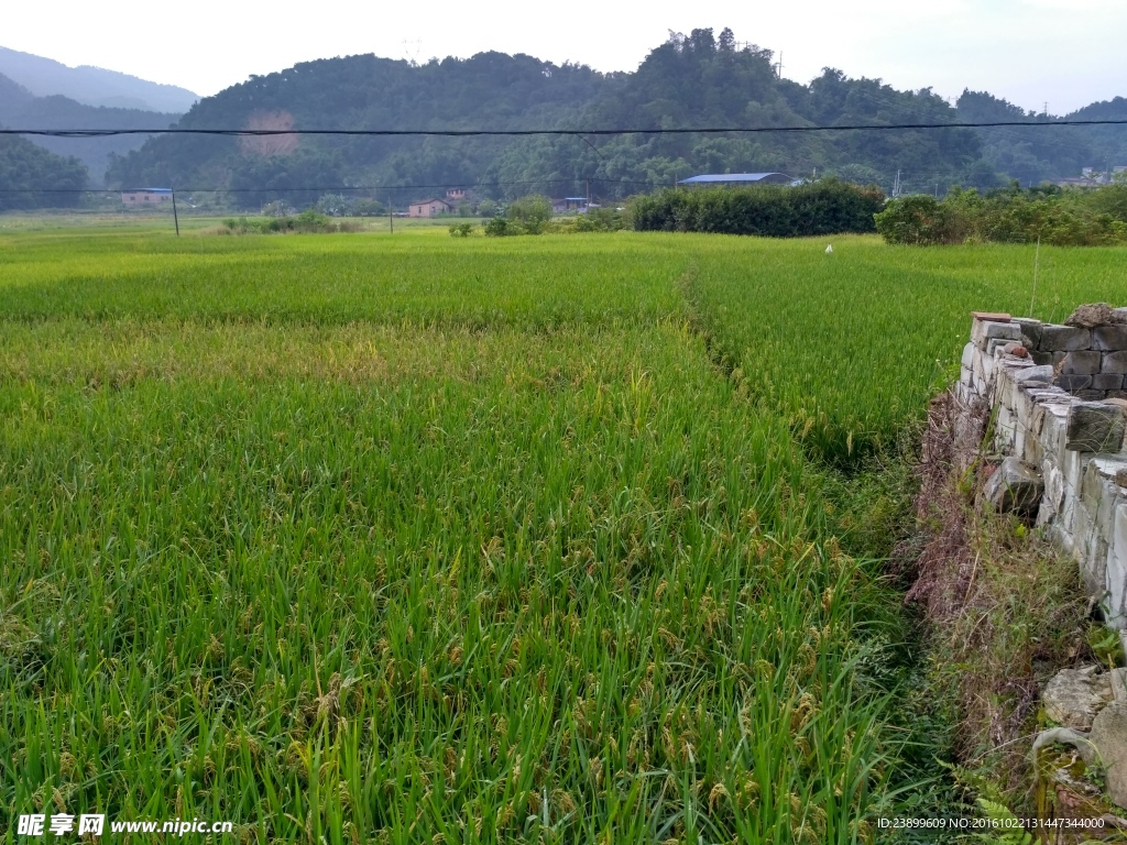 山川田野