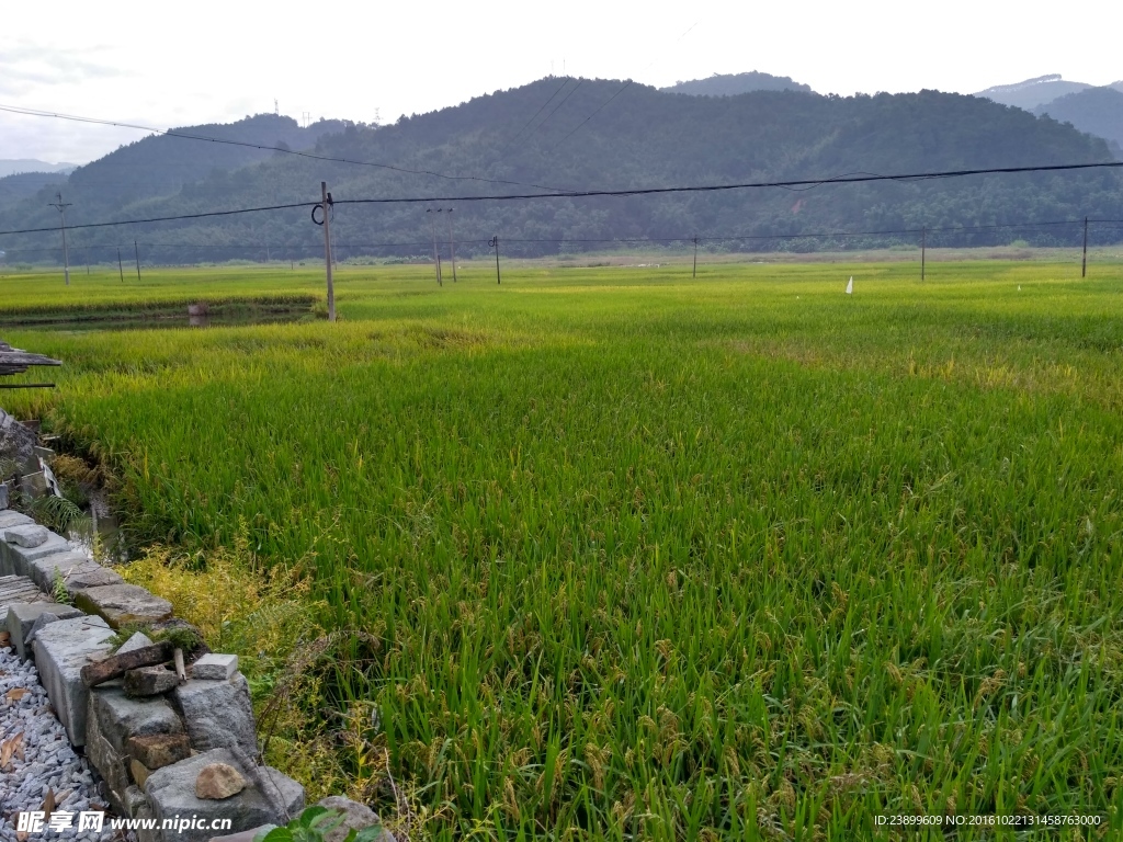 山川田野