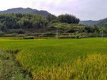 山川田野