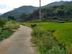 田园小路